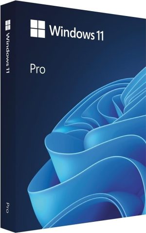 Microsoft Windows 11 Professional (DVD)