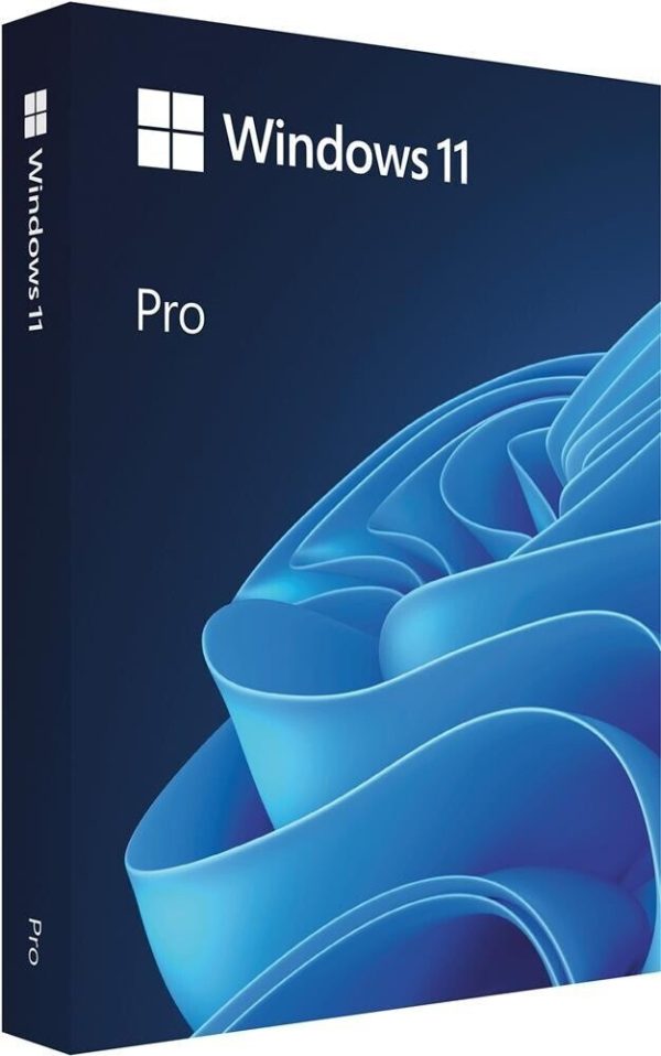 Windows 11 Professional